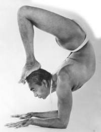 BKS iyengar DD4