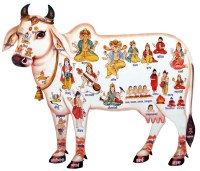 cow_devatas