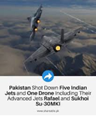 The Great Mosquito Massacre: Anatomy of Pakistan’s Propaganda Disneyland