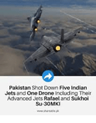 The Great Mosquito Massacre: Anatomy of Pakistan’s Propaganda&nbsp;Disneyland